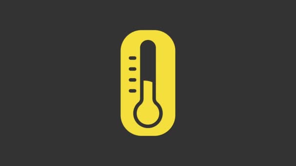 Ícone de medição do termômetro de meteorologia amarela isolado em fundo cinza. Equipamento termômetro mostrando clima quente ou frio. Animação gráfica em movimento de vídeo 4K — Vídeo de Stock