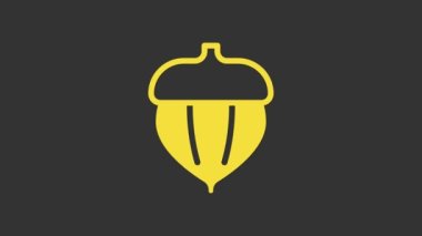 Sarı meşe palamudu ikonu gri arkaplanda izole edilmiş. 4K Video hareketli grafik canlandırması