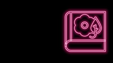 Parlayan neon hattı Herbaryum simgesi siyah arkaplanda izole edildi. Kitapta kurumuş yapraklar. 4K Video hareketli grafik canlandırması