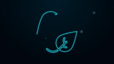 Parlayan neon çizgisi Yaprak simgesi siyah arkaplanda izole edildi. İşaret bırakıyor. Taze doğal ürün sembolü. 4K Video hareketli grafik canlandırması
