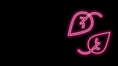 Parlayan neon çizgisi Yaprak simgesi siyah arkaplanda izole edildi. İşaret bırakıyor. Taze doğal ürün sembolü. 4K Video hareketli grafik canlandırması