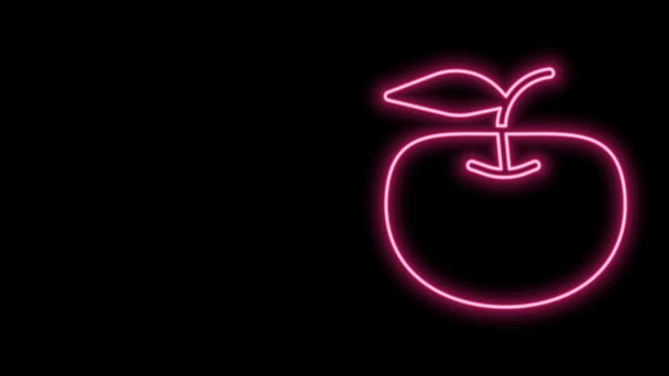 Línea de neón brillante Icono de Apple aislado sobre fondo negro. El exceso de peso. Menú de dieta saludable. Aptitud dieta manzana. Animación gráfica de vídeo 4K — Vídeo de stock