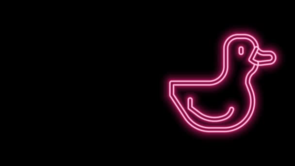 Zářící neonová čára Ikona gumové kachny izolované na černém pozadí. Grafická animace pohybu videa 4K — Stock video