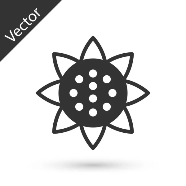 Graue Sonnenblume Symbol Isoliert Auf Weißem Hintergrund Vektor — Stockvektor