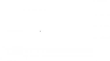 Havaalanı simgesindeki siyah çizgi metal dedektörü beyaz arkaplanda izole edildi. Havaalanı güvenlik görevlisi metal dedektör kontrol noktasında. 4K Video hareketli grafik canlandırması