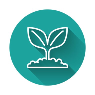 Beyaz çizgi bitki simgesi uzun gölge arkaplanı ile izole edildi. Tohum ve tohum. İşaret bırakıyor. Yaprak doğası. Yeşil daire düğmesi. Vektör