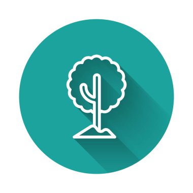 Beyaz çizgi ağaç simgesi uzun gölgeli izole edilmiş. Orman sembolü. Yeşil daire düğmesi. Vektör