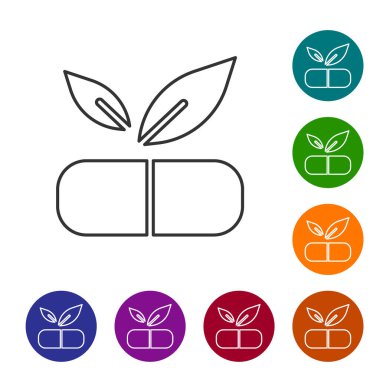Beyaz arka planda bitki ikonu olan siyah çizgi tıbbi haplar. Bitkisel hap. Simgeleri renk daire düğmelerine ayarla. Vektör