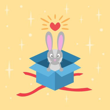 grey rabbit in blue cardboard box