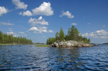 Yukarı Pulongskoye Gölü kıyısındaki Karelia kayalıklarında vahşi orman.