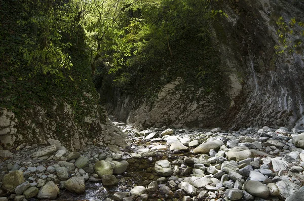 Gorge Mamed Gap Kaukasus Bergen Nära Lazarevskoye — Stockfoto