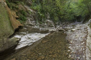 Lazarevskoye yakınlarındaki Kafkasya dağlarında Mamed Geçidi.