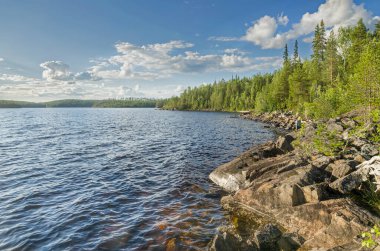 Yukarı Pulongskoye Gölü kıyısındaki Karelia kayalıklarında vahşi orman.