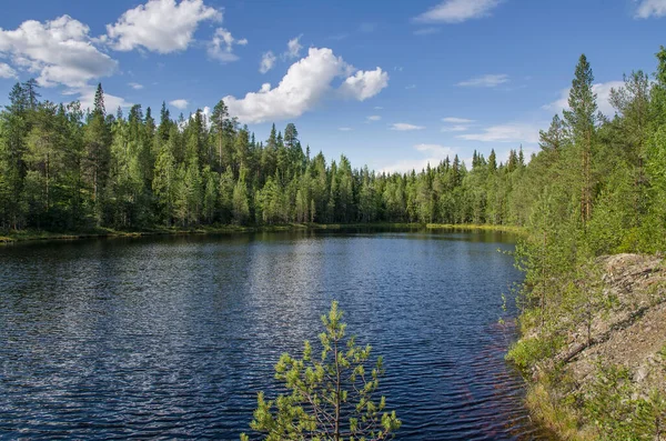 Dziki Las Skałach Karelia Brzegu Jeziora Górnego Pulongskoye — Zdjęcie stockowe