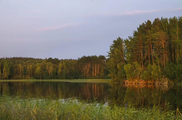 Lago Ladoga Con Sponde Ricoperte Boschi — Foto Stock