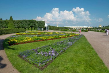 Peterhof parkındaki yeşil alanlar ve sokaklar (St. Petersburg, Rusya)