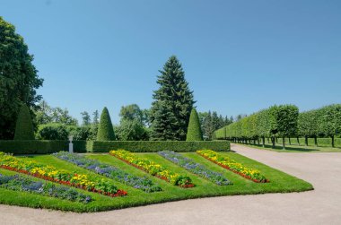 Peterhof parkındaki yeşil alanlar ve sokaklar (St. Petersburg, Rusya)