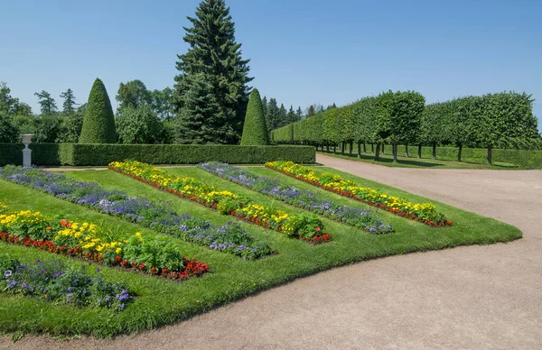 Zielone Przestrzenie Alejki Parku Peterhof Petersburg Rosja — Zdjęcie stockowe