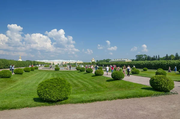 Zelené Plochy Uličky Parku Peterhof — Stock fotografie