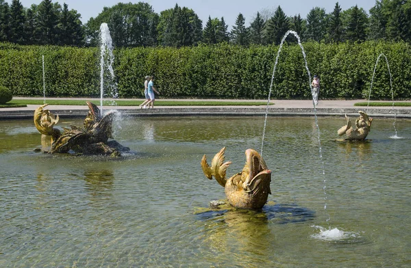 Zelené Plochy Uličky Parku Peterhof — Stock fotografie