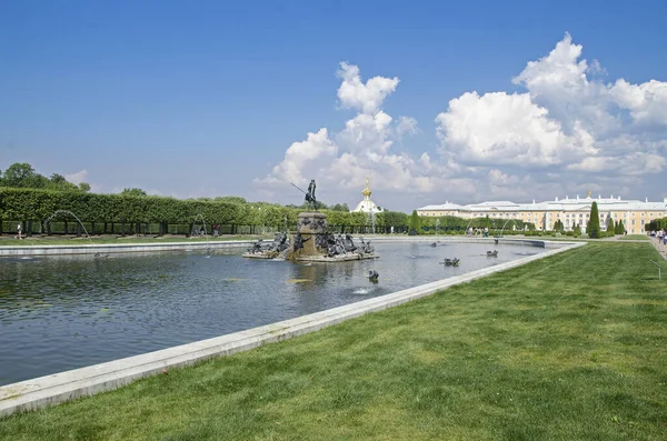 Zielone Przestrzenie Alejki Parku Peterhof — Zdjęcie stockowe