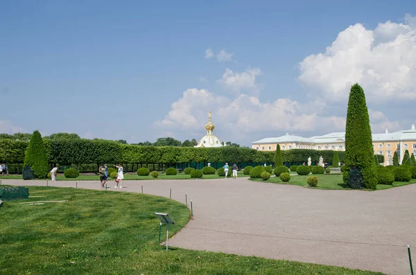 Green Spaces Alleys Park Peterhof — Stock Photo, Image