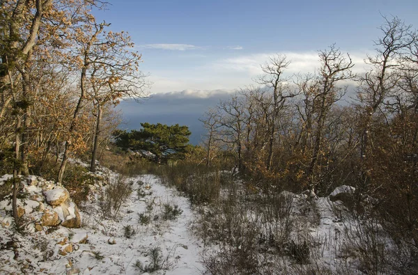 Bosque Las Montañas Crimea Cerca Del Pueblo Simeiz — Foto de Stock