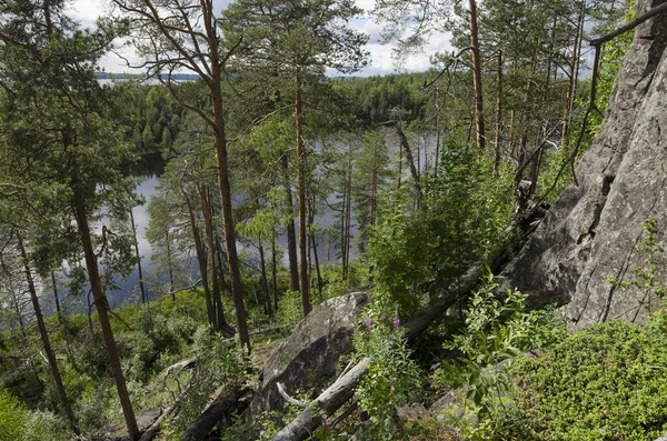 Kareliaの森林海岸岩 — ストック写真