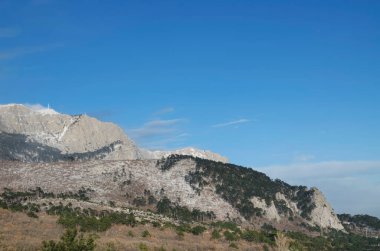 Simeiz köyü yakınlarındaki Kırım dağlarındaki orman.