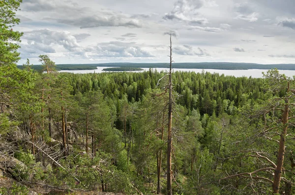 Skogskustklippor Karelen — Stockfoto