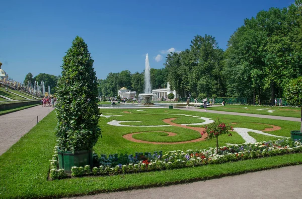 Zelené Plochy Uličky Parku Peterhof — Stock fotografie