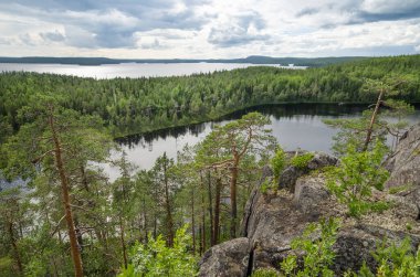 Karelia 'daki ormanlık kıyı kayalıkları