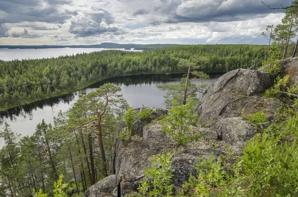 Karelia Daki Ormanlık Kıyı Kayalıkları — Stok fotoğraf