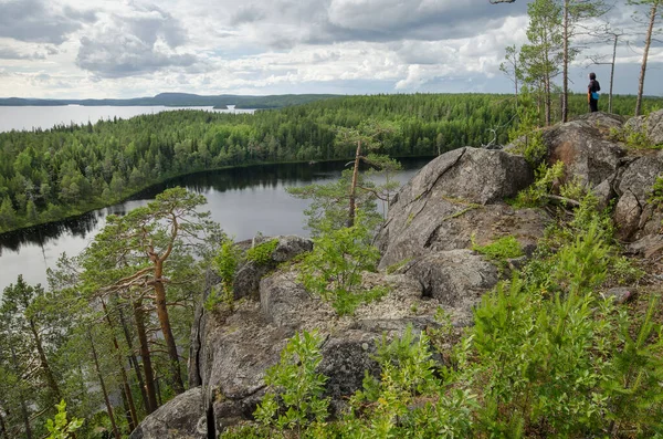 Bossen Langs Kust Karelië — Stockfoto