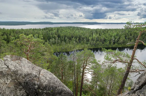 Rocas Costeras Boscosas Karelia —  Fotos de Stock