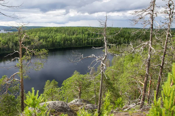 Лісові Прибережні Скелі Карелії — стокове фото