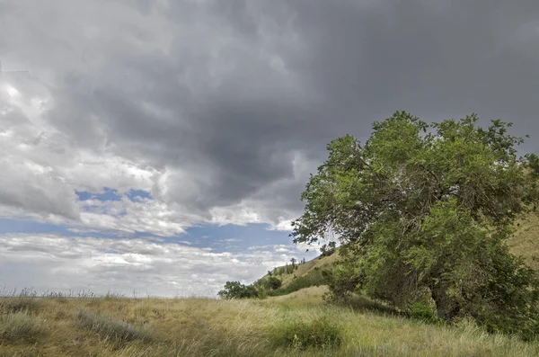 Steppe Ravijnen Aan Oever Van Wolga Regio Saratov — Stockfoto