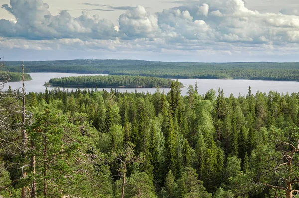 Leśne Skały Przybrzeżne Karelia — Zdjęcie stockowe