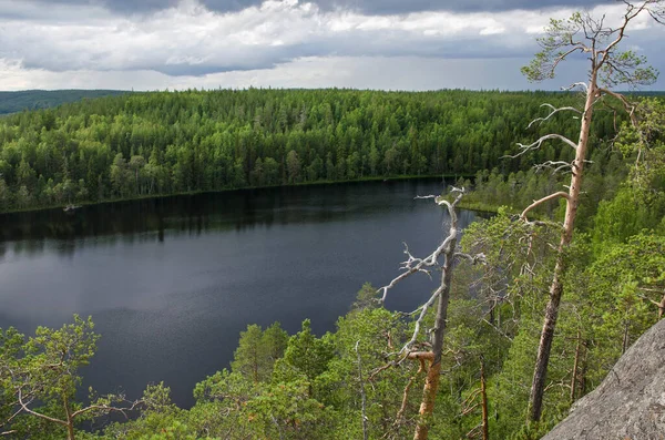 Лісові Прибережні Скелі Карелії — стокове фото