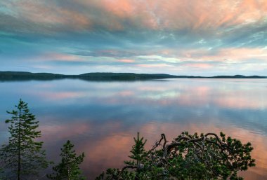 Yukarı Pulongskoye Gölü kıyısındaki Karelia kayalıklarında vahşi orman.
