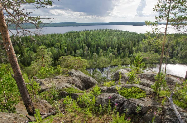 Bewaldete Küstenfelsen Karelien — Stockfoto