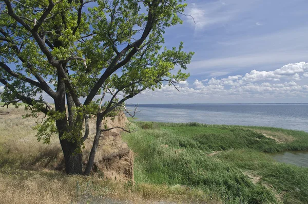 Estepa Barrancos Orillas Del Volga Región Saratov —  Fotos de Stock