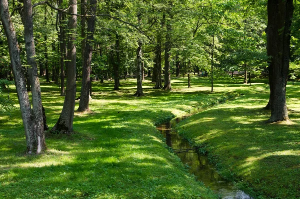 Journée Ensoleillée Dans Parc Vieille Ville — Photo