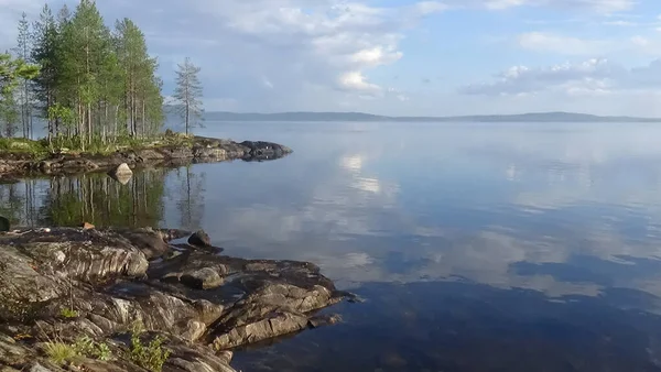 Дикий Лес Скалах Карелии Берегу Ковдозерского Озера — стоковое фото