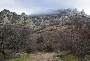 Dağ sırasının zirveleri, kozalaklı ormanlarla kaplı.