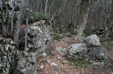 Kışın ahşap Kırım '