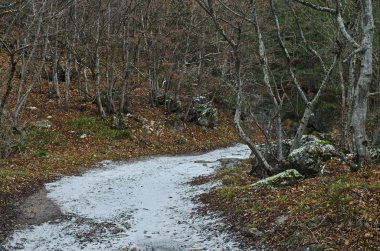 Kışın ahşap Kırım '