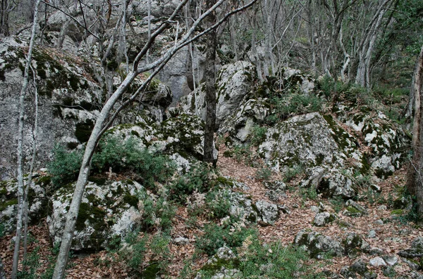 Kışın ahşap Kırım '