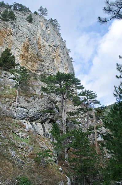 Collines en Crimée — Photo