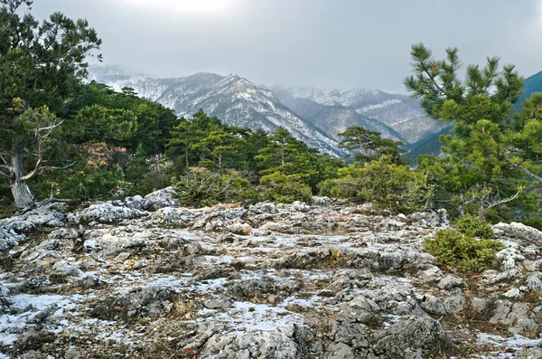 Collines en Crimée — Photo